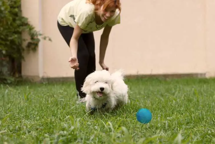 Girl practicing playing fetch with her dog